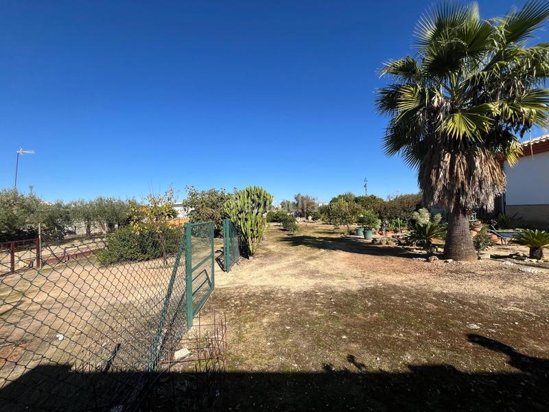 Foto 5d6bc95b-c9b0-47f0-89ea-6ddc9aee02de. Chalet con piscina in Sanlúcar la Mayor