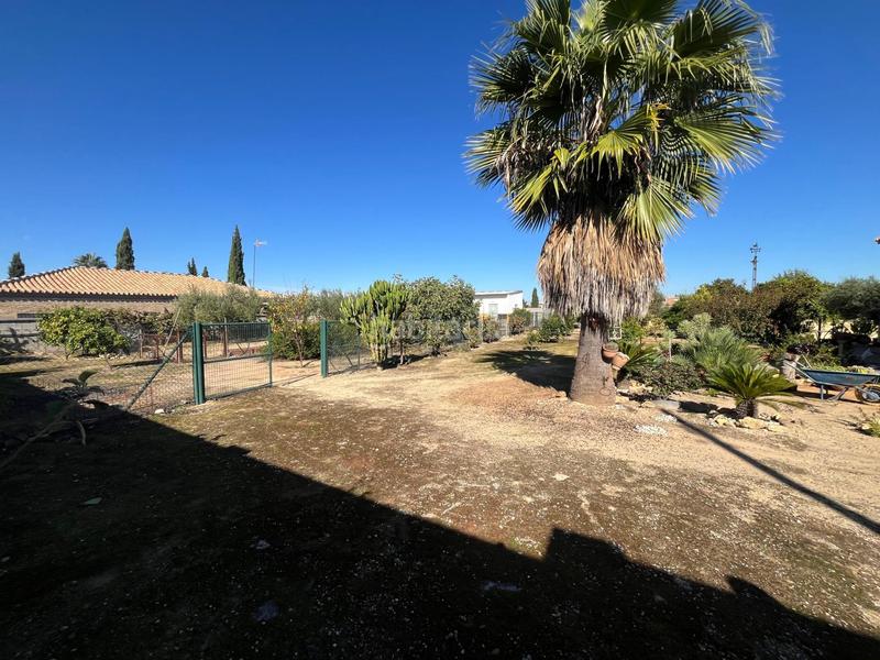 Foto 6deafcd4-e47c-49a3-81f5-bde614dcf78f. Chalet con piscina in Sanlúcar la Mayor