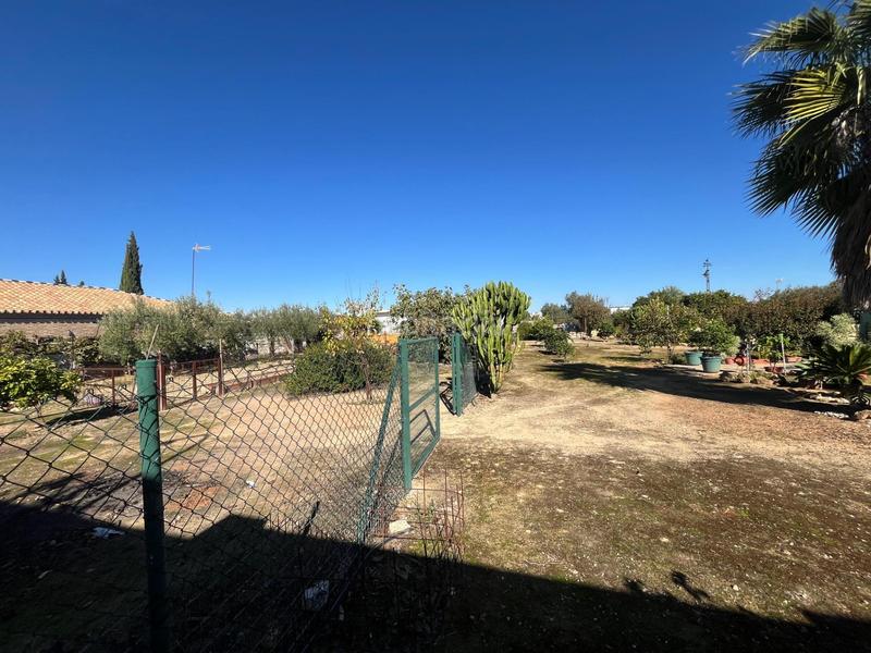 Foto 9239f52f-ef5c-463e-a267-844f27ad1f29. Chalet con piscina in Sanlúcar la Mayor