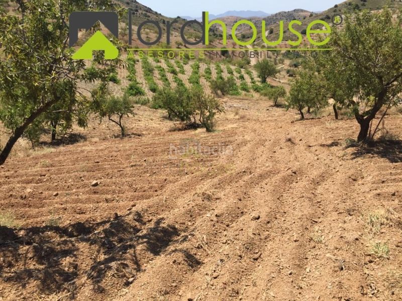 Foto a21de305-c8ee-4bab-ae19-3be3630df489. Casa a Torrecilla Lorca