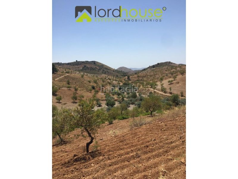 Foto dd7f7d3b-cde9-41f7-b6c8-191c189f38d5. Casa a Torrecilla Lorca