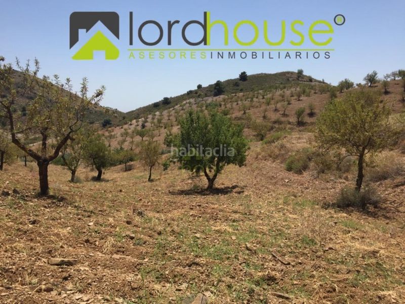 Foto e7b5711c-bd49-4441-827a-0deb1cdbe532. Casa a Torrecilla Lorca
