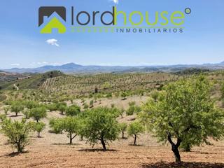 Casa in Unnamed road. Fi873 finca en la torrecilla con parcelas segregadas y cortijo e