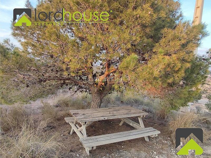 Foto 9aed8e34-48ed-4b1f-8d5c-fddc1ec6e8c8. House in Parrilla Lorca