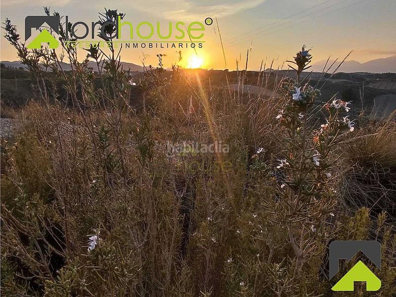 Foto 9dccf95b-2b34-4c8e-a5cd-30545e2699e2. House in Parrilla Lorca