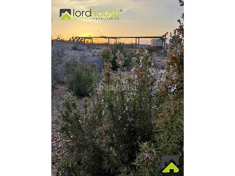 Foto e5896198-ad7a-4979-8c52-c8574cf710cb. House in Parrilla Lorca