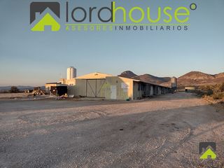 Bâtiment à usage industriel  Plaza caño en zarcilla ramos. 1208. explotación avícola en venta en lorca murcia  en plena pro