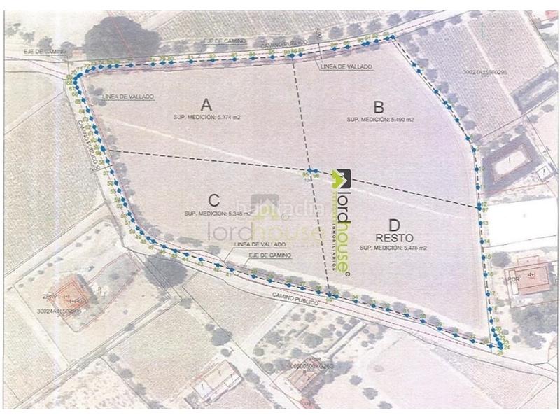 Foto 242baff7-35ea-4cb9-bcd7-9526361f6029. Terreno residencial 1222. varias parcelas segregadas en Marchena. en Lorca