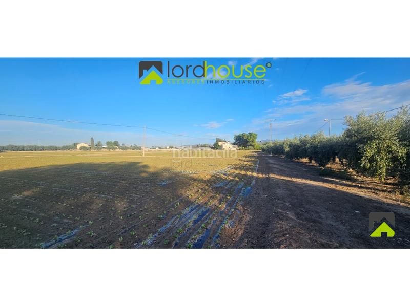 Foto 3d4bcfa4-bbae-4ed1-8852-9c0da75901d1. Terreno residencial 1222. varias parcelas segregadas en Marchena. en Lorca