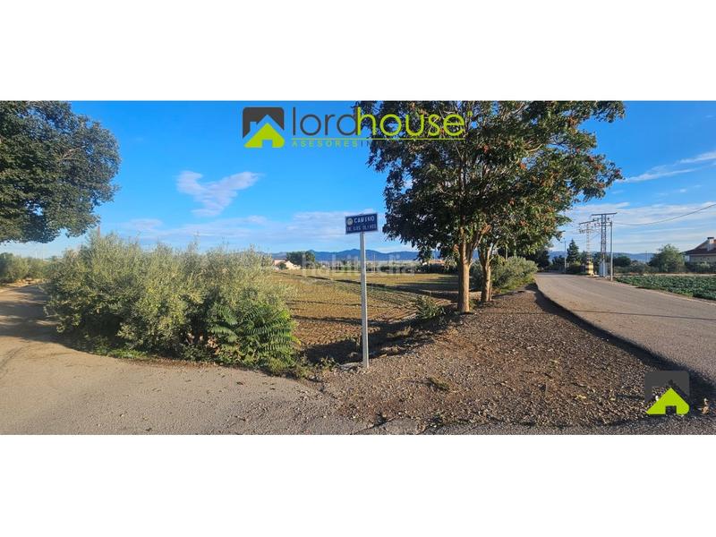 Foto 43fcd785-71a5-4dd0-a788-781bc4490cad. Terreno residencial 1222. varias parcelas segregadas en Marchena. en Lorca