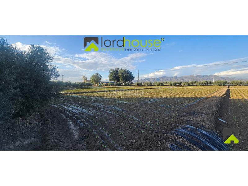 Foto 9494d4b8-3256-435d-b2e9-2beeb1d310ef. Terreno residencial 1222. varias parcelas segregadas en Marchena. en Lorca