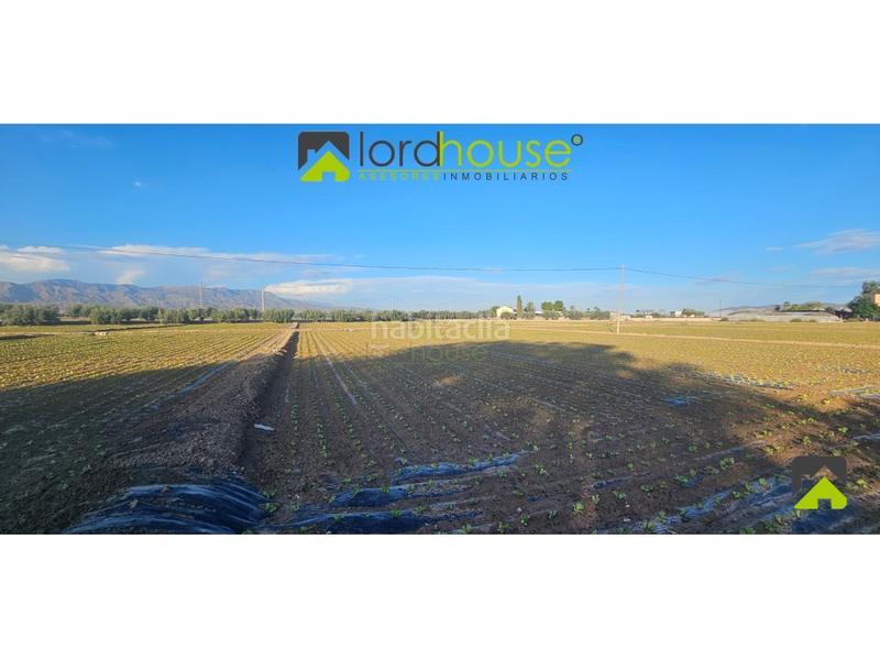 Foto ab721043-4ba6-4a50-b51d-cbb3aa4d8f87. Terreno residencial 1222. varias parcelas segregadas en Marchena. en Lorca