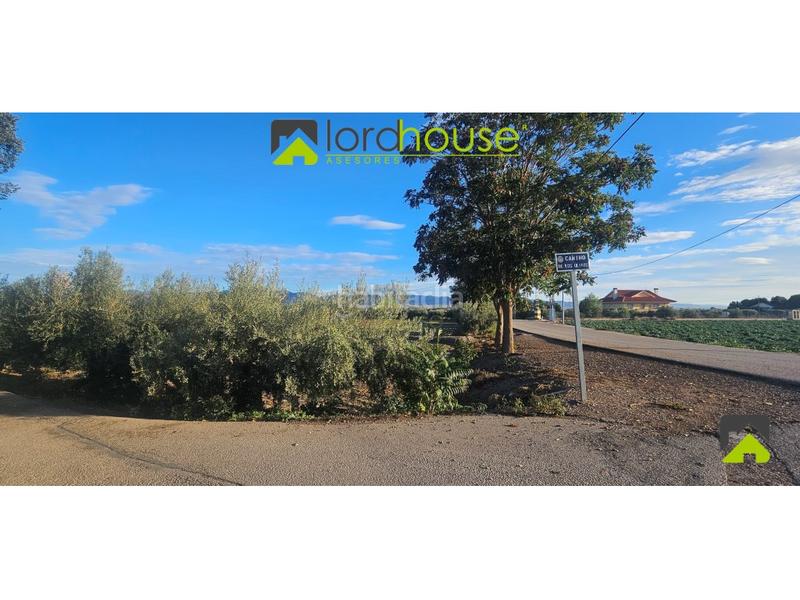 Foto d4b2ebd2-d89e-41f2-92fb-2f992d732e52. Terreno residencial 1222. varias parcelas segregadas en Marchena. en Lorca