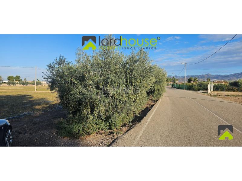 Foto f6f6b89f-2af1-4eee-a511-c8023d43b06b. Terreno residencial 1222. varias parcelas segregadas en Marchena. en Lorca