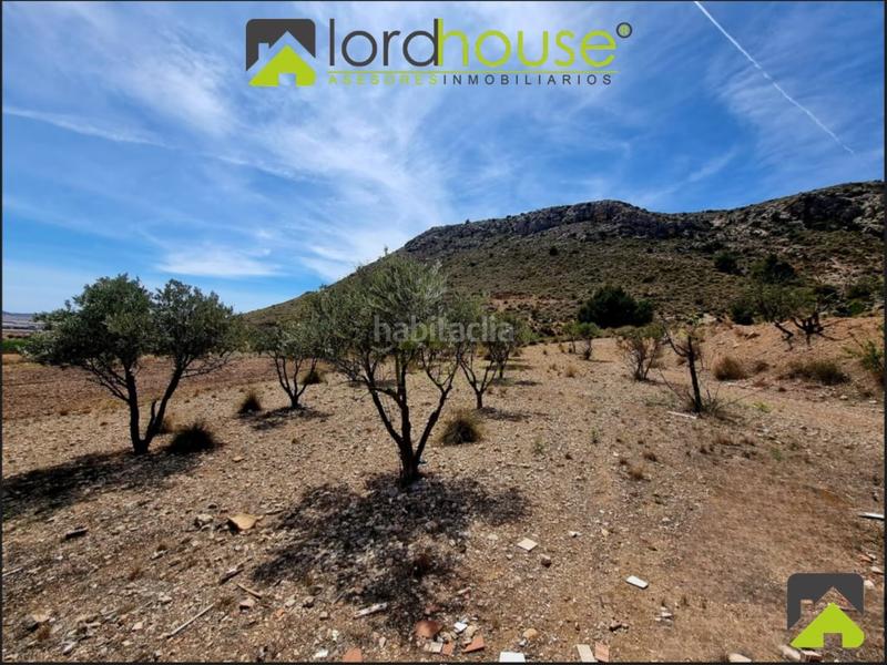 Foto 584db0fc-d8c3-46f4-934a-387ebb11ae50. Casa con parcheggio in Zarcilla de Ramos Lorca