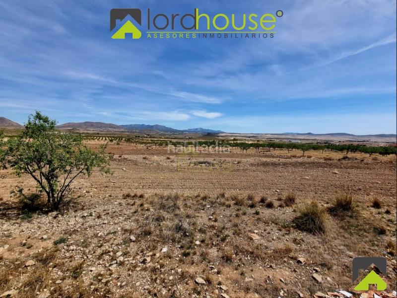 Foto 802bff2e-a23b-4756-baa1-fd8950bdb466. Casa con parcheggio in Zarcilla de Ramos Lorca