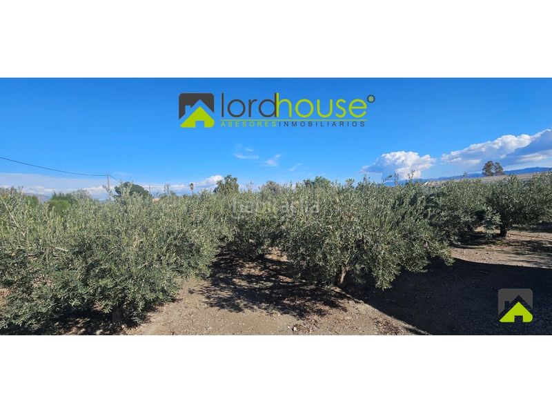 Foto b8375eca-5c06-4e0f-bde7-a7683132b2e7. Casa amb aparcament a Puerto Lumbreras