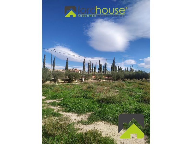 Foto 62a30531-0bea-489e-b8f2-210edb5602fc. Terreny residencial a Parrilla Lorca