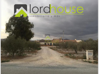 Terreny residencial a Camino de los perez. Parce602. casa para restaurar zona torrecilla.