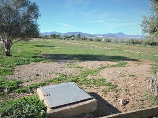 Terreny residencial  Carril del pino. 598. parcela con agua, luz y acción de agua en purias, lorca