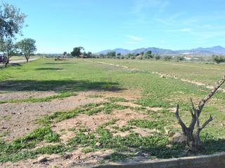 Terrain résidentiel à Carril del pino. 598.parcela de 12.500 metros con luz y agua.