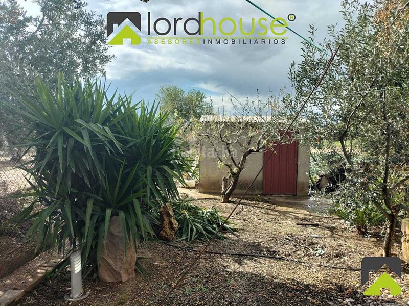 Foto e46d15f2-cec5-4d0e-a162-7b11521ef4e3. Haus in Aguaderas Lorca