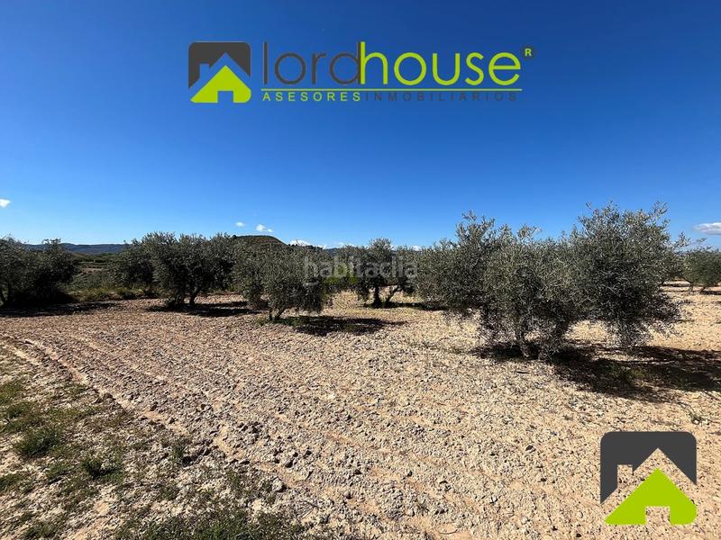 Foto 171121ae-a09f-47cb-9850-a74c49d01bd0. Casa in La Tova Lorca