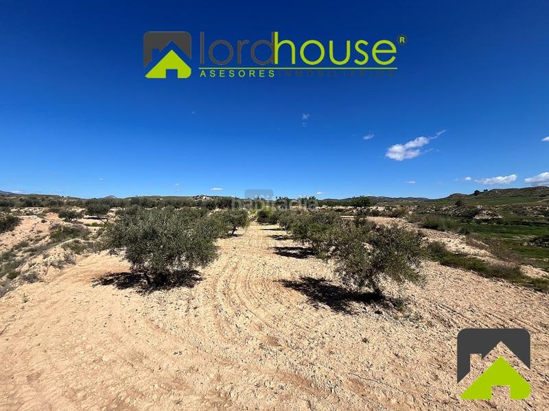 Foto 1d81f58a-3955-4613-8302-8b663f826f92. Casa in La Tova Lorca