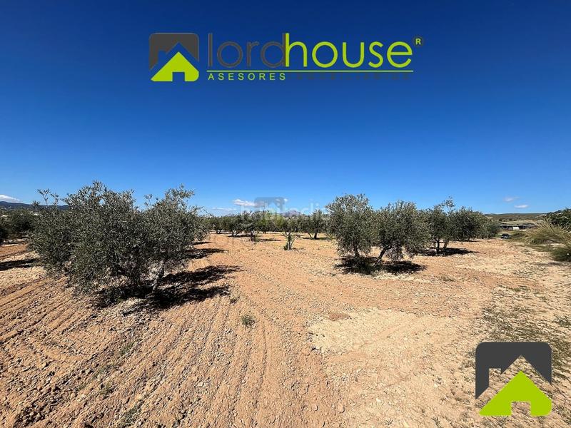 Foto 41337a07-8a9d-4d53-8bec-c0c715a85b83. Casa in La Tova Lorca