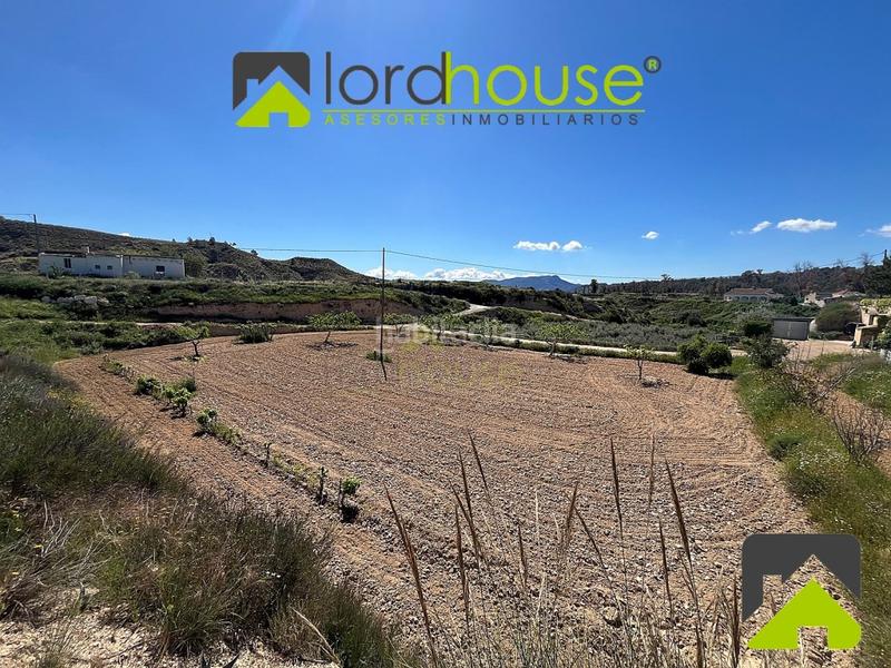 Foto 90cadd97-50da-4e71-aae4-5e33b4340868. Casa in La Tova Lorca