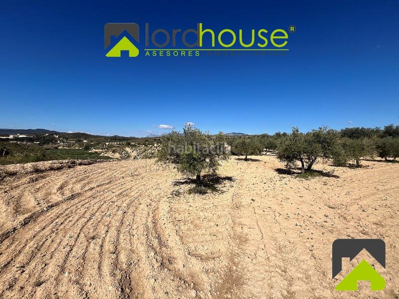 Foto b4e9fb8b-3e0e-4f32-adac-d7865439eeaf. Casa in La Tova Lorca