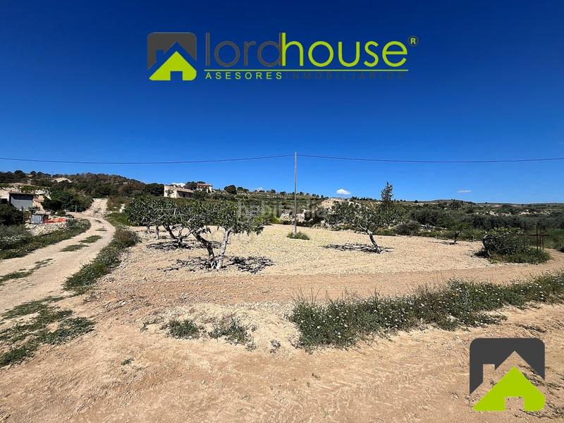 Foto d3cbc0f5-0209-4601-b2ce-7e8c7ce8e156. Casa in La Tova Lorca