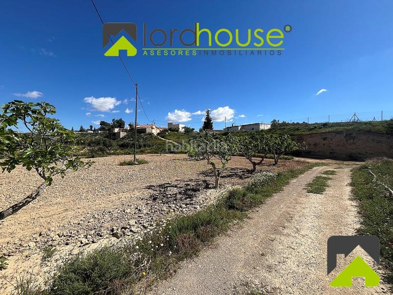 Foto ebe700f1-0933-4f59-8fbe-41f5a7524d38. Casa in La Tova Lorca