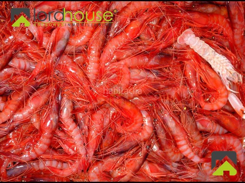 Foto 04540b2c-c4cf-4ede-964d-a309aa118d58. Pis a Casco Antiguo Águilas