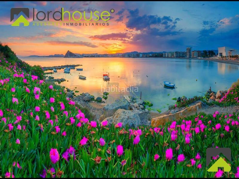 Foto 35bfad2a-0a6c-4025-914a-09f3e0e84365. Pis a Casco Antiguo Águilas