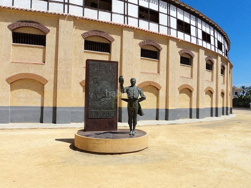 Foto a5395d25-0ff2-4ad5-a7b9-890b64798907. Pis a San Cristóbal - San Diego Lorca