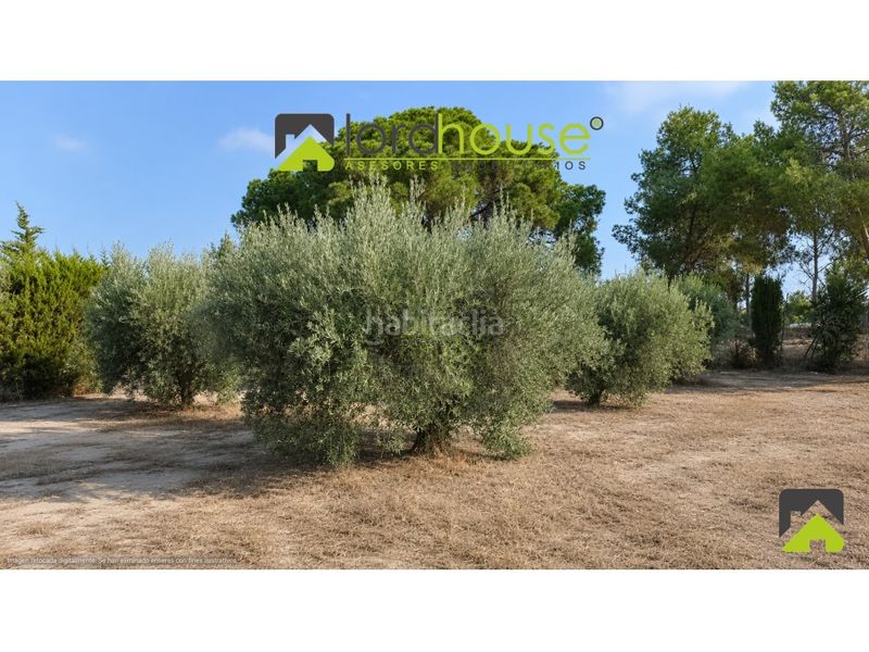 Foto b46fad00-876b-4db4-b0b6-66e89dcf618b. Casa amb aparcament a Aguaderas Lorca