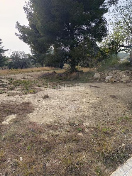 Foto 2e2cad1a-fcf2-4bca-8b39-74e6b52fed79. Terreny residencial a Castellvell del Camp