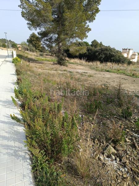 Foto 4ab41183-b3b7-475a-b9ea-c932879b153f. Terreny residencial a Castellvell del Camp