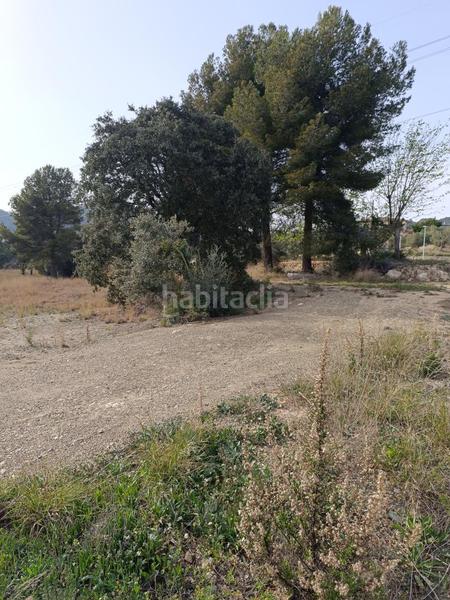 Foto c3b9972b-ffc1-41ca-882a-525f9fa00370. Terreny residencial a Castellvell del Camp