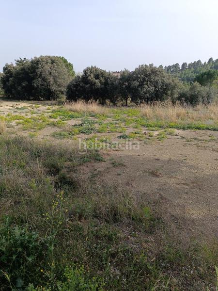 Foto db47002a-60cd-4703-ad26-c8a6c25885da. Terreny residencial a Castellvell del Camp