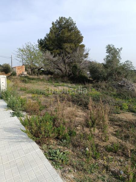 Foto e822b11d-7d4e-4a5a-a0be-d5e2e5f50d37. Terreny residencial a Castellvell del Camp