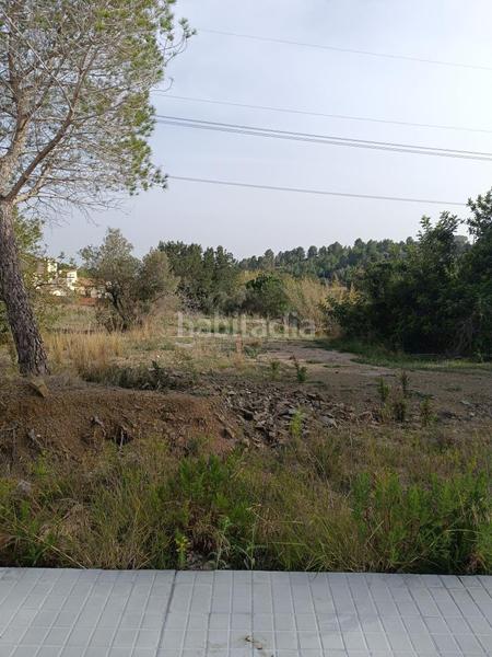 Foto f5d5cfe1-cf29-4548-8967-24598352be90. Terreny residencial a Castellvell del Camp