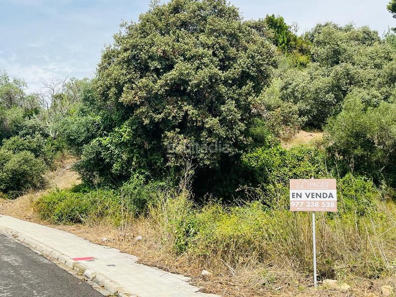 Foto 66e21085-77ea-4482-8a22-f359d792a4d2. Terreno residenziale in Almoster