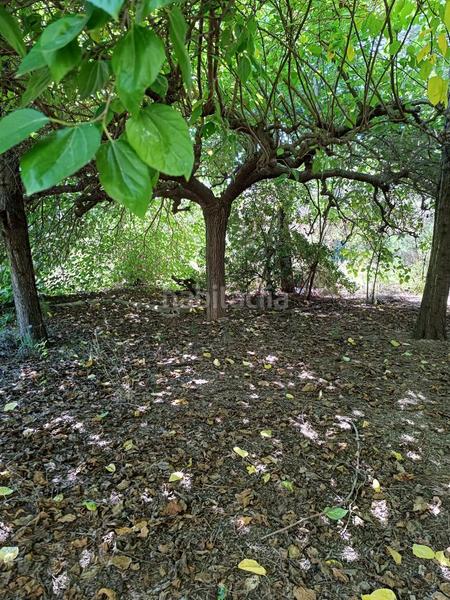 Foto c7b5d659-b632-4e2b-b4c3-2343bfb06760. Casa con parcheggio in Migjorn Reus