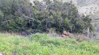Residential Plot in Cumbres de Calicanto. Suelo en venta en torrent