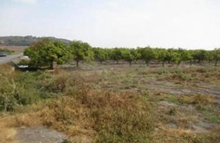 Landgut  N/a. Suelo rustico almenara