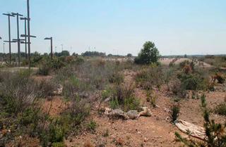 Terreno residencial  Avenida castellón. Obra parada en sant jordi