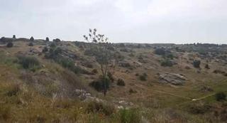 Terreny residencial  Poligono vp sup. Suelo urbanizable madrid