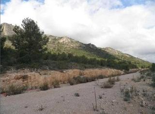 Terreny residencial  N/a. Terreno residencial en polop